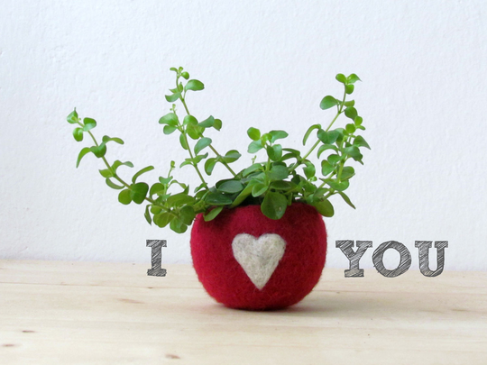 Mini Succulent Planter | Wool Anniversary Gift For Her, Colorful Mini Pot, Best Friend Gift, Girlfriend 7Th