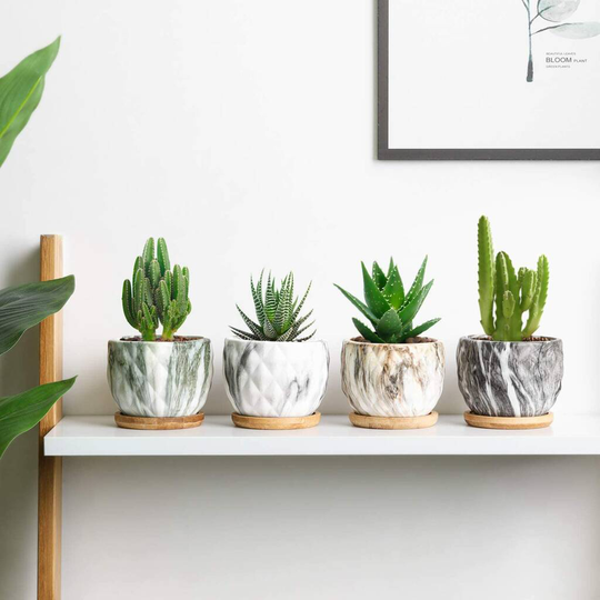 Pack Of Four Modern Marbleize Succulent Pots With Tray