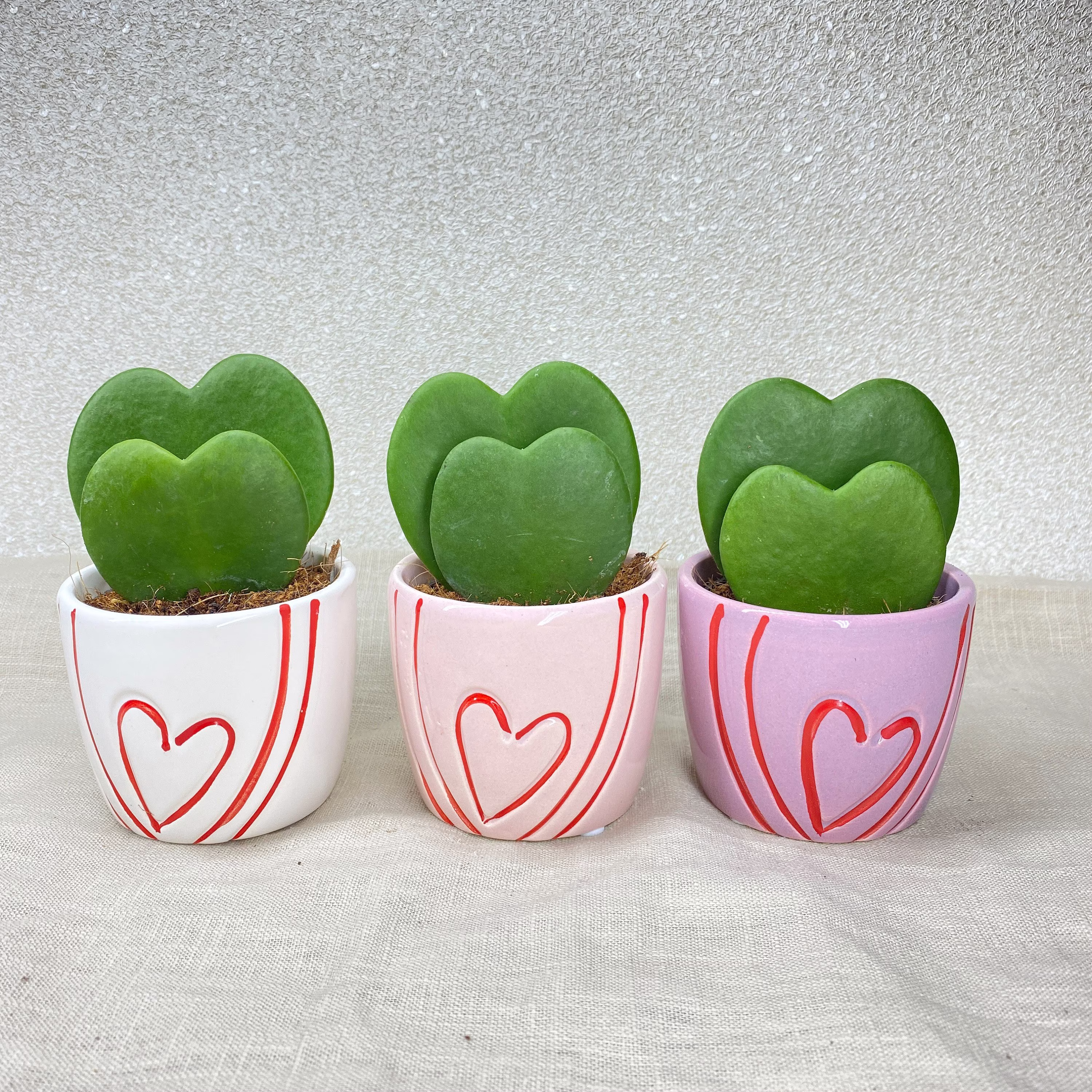 Heart Painted Gloss Ceramic Planter - White/Pink/Purple Cute Gift Or Wedding Favour