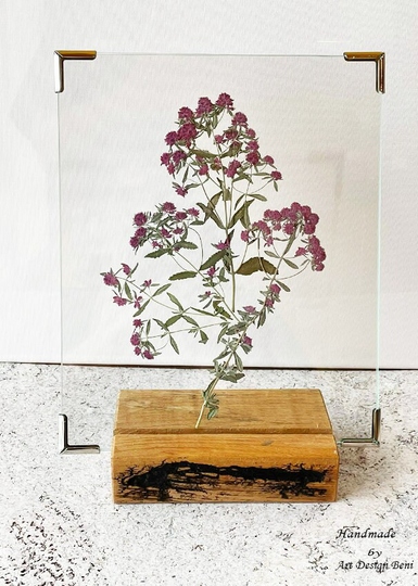 Pressed Wild Flowers in A Frame, Flower Art, Wall Decor, Botanicals Art Framed, Framed Wall