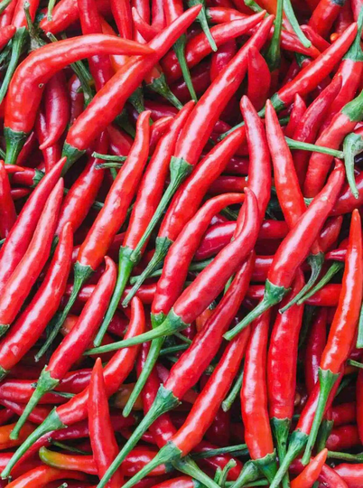 Florida Chilli Pepper Seeds