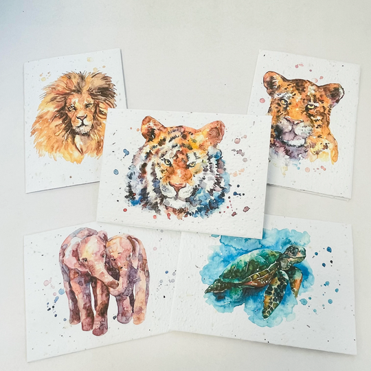 Seed Paper Cards | 5 Pack - Plantable Wildflower Endangered Species Watercolours | Mothers Day, Christmas, Easter, Greeting Card