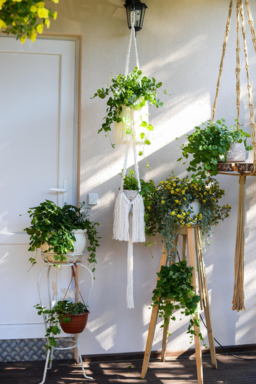 Double Macrame Plant Hanger, Plant Pot Holder, Indoor Room Decor, Fringe Hanger, Holder