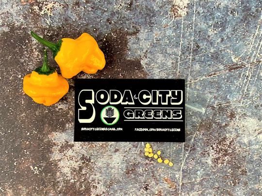 Jamaican Scotch Bonnet Pepper Seeds 10+ Ships Free