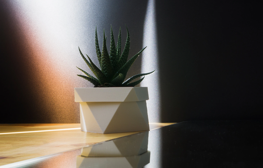 Planter Pot With Drainage, Geometric Design, Modern, Colorful & Customizable, Eco 3D Printed "Octa