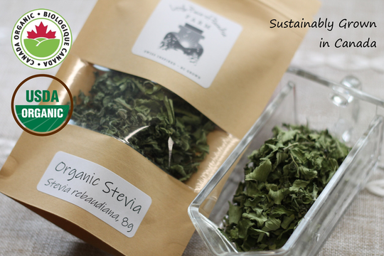 2022 Harvest Organic Stevia, Sustainable Farm Grown Herbs