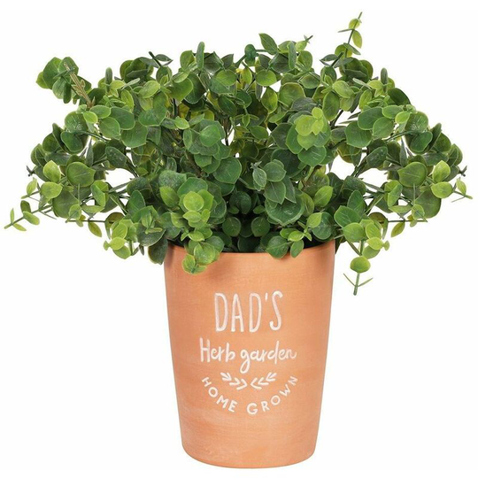Something Different - Dads Herb Garden Plant Pot (One Size) (Terracotta) - Terracotta
