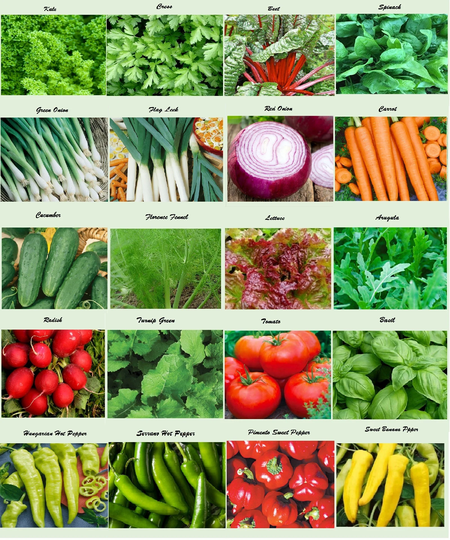 Set Of 20 Assorted Organic Vegetable Seeds & Herb Varieties Create A Deluxe Garden Heirloom 100% Non-Gmo