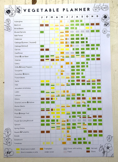 A3 Annual Vegetable Growing Planner // Allotment & Garden Calendar Planting Harvesting Year Poster