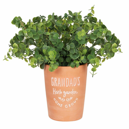Grandad's Plant Pot/Herb Garden/Terracotta Pot