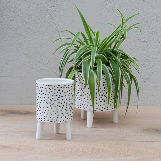 Spotty Plant Pots