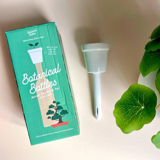 Bonsai Tree Bottle Top Grow Kit