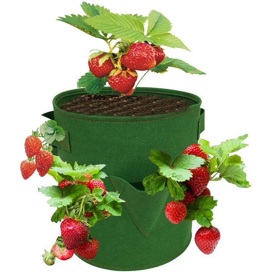 10 Gallon Strawberry Grow Bags with 8 Grow Pouches Planter Box Vegetable Grow Bag - Army green