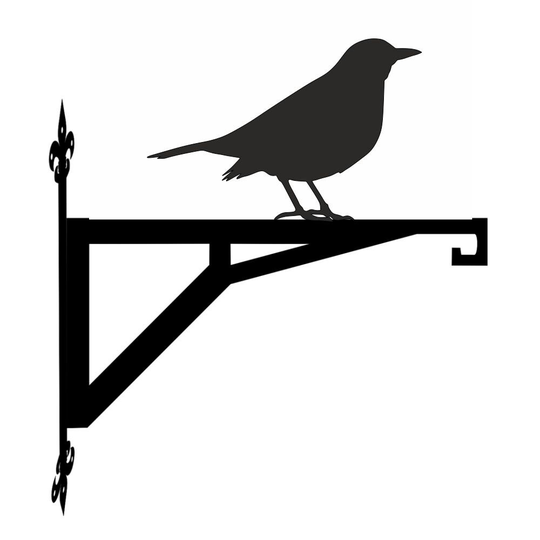 Blackbird Modern Contemporary Hanging Bracket