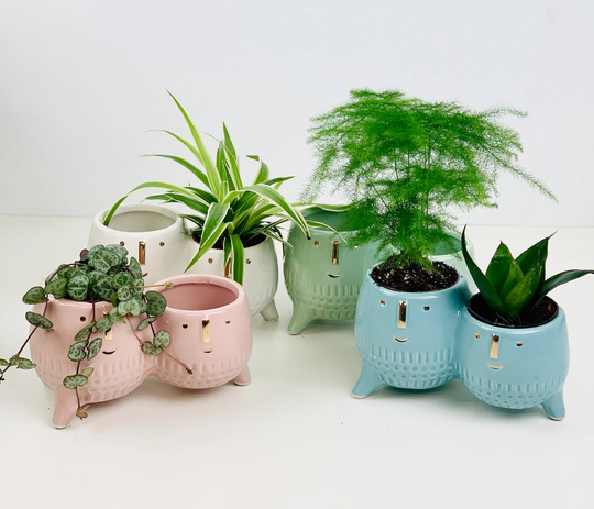 Henri & Henrietta Double Ceramic Planters/Plant Pot - Hettie's Cousins Cute Children Or Adult Gift