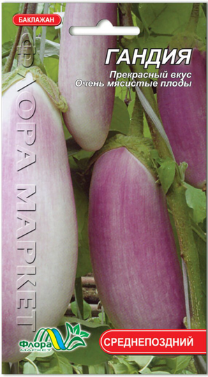 Eggplant Seeds Gandia