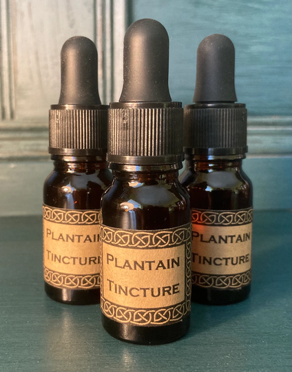 100% Organic Plantain Tincture in Amber Glass 10Ml Pipette Bottle