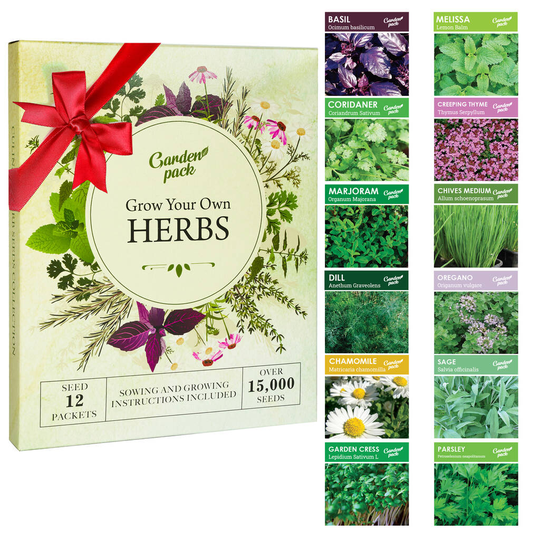 Herb Seeds For Planting 12 Varieties