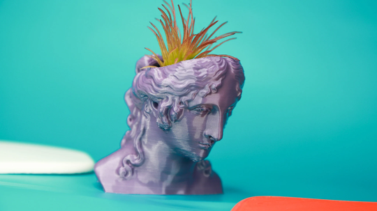 Head Planter Bust Head Plant Pot Indoor Planter Art Succulent Desk Decor Garden Thehelen