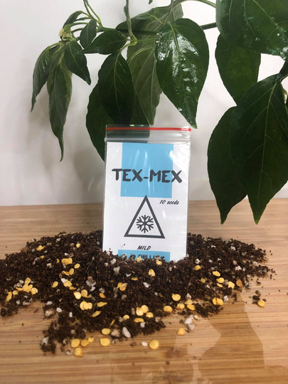 Tex Mex Chilli Seeds