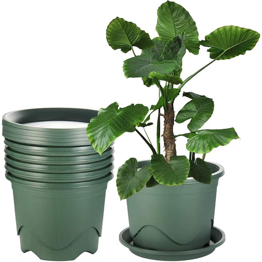 Pots for Plants Outdoor, 9.5 Inch Plastic Planters, Flower Pots with Drainage Hole and Tray, Pack of 6, Plants not Included