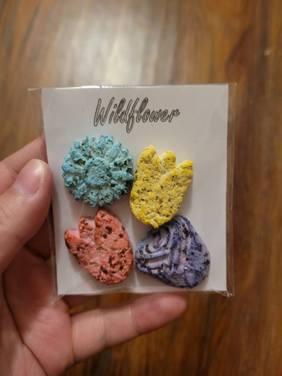 Wildflower Seed Bombs Prepackaged-Colorful-Gardening