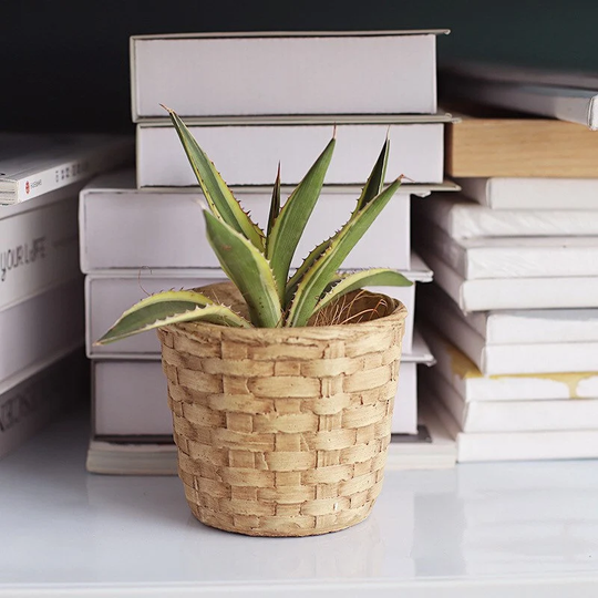 Cement Succulent Plant Pot With Drainage Holes, Small Concrete Cactus Flower Planter, Resin Wicker Pattern Indoor Bowl