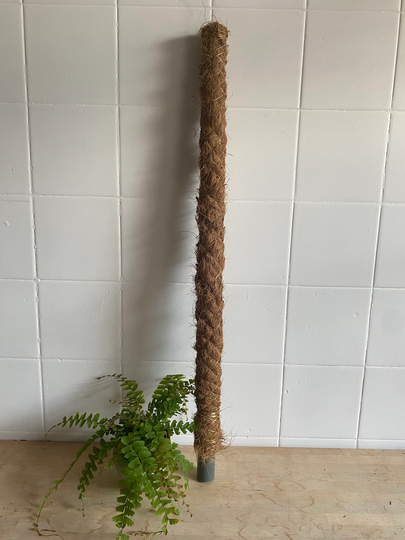 Moss Pole | Monstera Coir Support For Climbing Plants