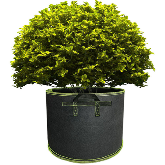 Planting grow bags 10-pack Plat pots made of fabric felt(Black+color border,3 gallon,25*22cm) - Muff