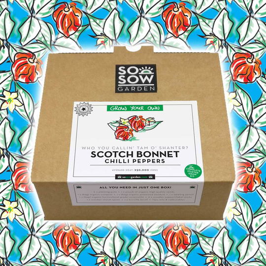 Scotch Bonnet Chilli Pepper Grow Your Own Kit