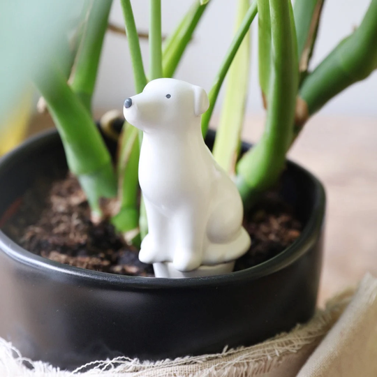 Dog Plant Watering Spike