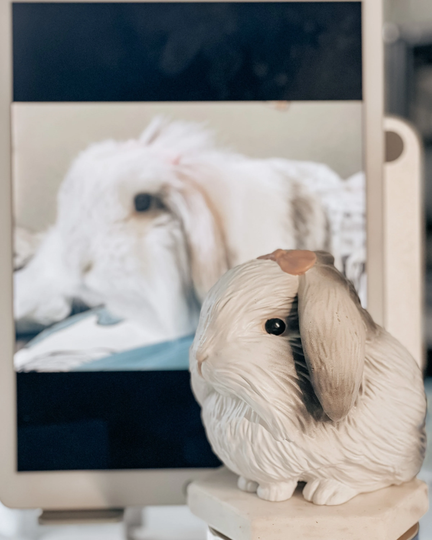 Bunny Lionhead Rabbit - Custom Plant Pot Personalized Bunny Statue 3D Printed Succulent Vase/Personalized Vase