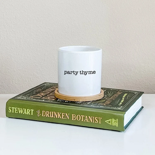 Party Thyme Indoor Herb Garden Ceramic Pot