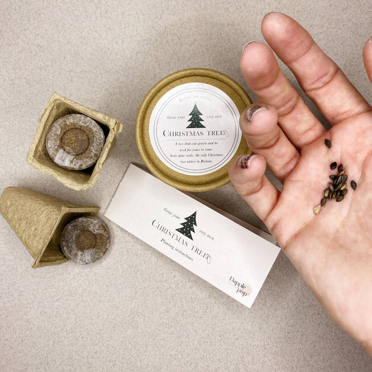 Grow Your Own Christmas Tree Kit