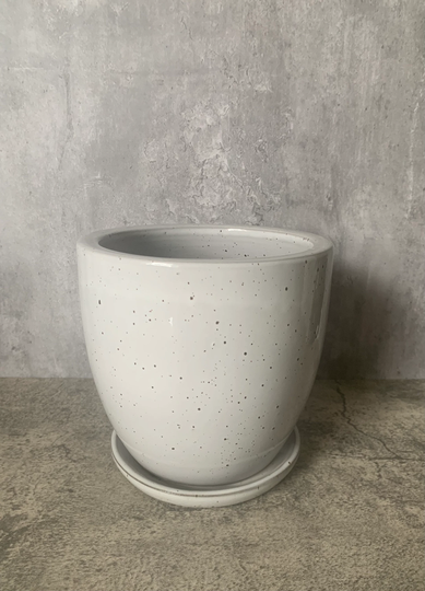 Speckled White Ceramic Planter | With Saucer, Attached - Multiple Sizes