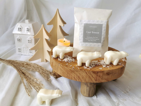 Cool Breeze Soy Wax Melts Winter Seasonal Polar Bear Eucalyptus Peppermint Decor Birthday Gift New Home