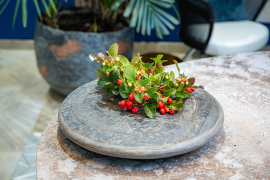 Oblate Slate Planter