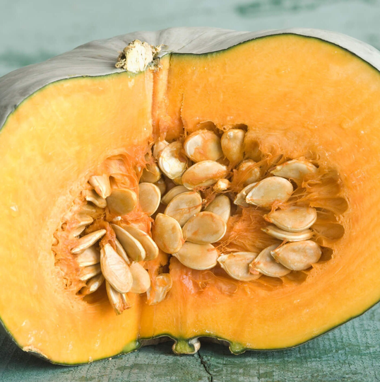 Jarrahdale Blue Pumpkin Seeds For Planting | Garden Vegetable Winter Squash Kabocha Gray Cinderella Gourd Fall Seed Non Gmo