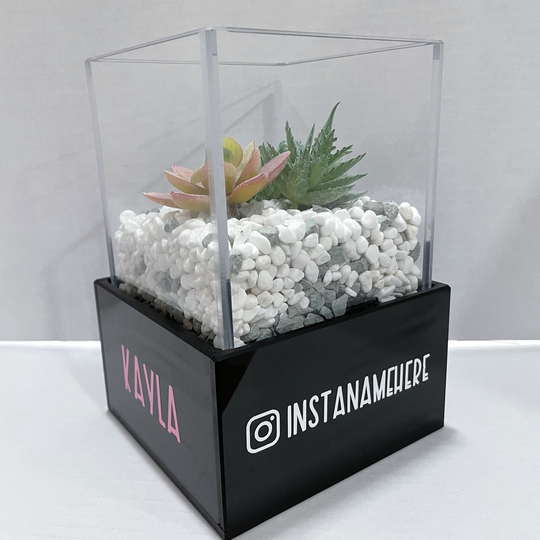 Personalized Planter Clear Acrylic With Name & Instagram Tray Drainage Holes Custom Gift For Plant Lovers Small Business Office Desk Modern