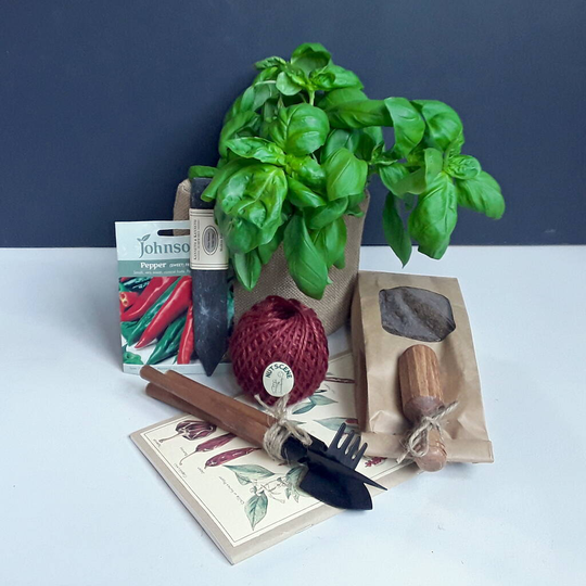 Grow Your Own Chilli Plant Garden Set