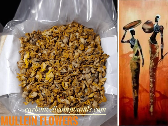 Mullein Wild Herb Flowers | Country Origin. Egypt - Free Domestic Shipping | Intn'l | For Orders Up To 99 Dollars