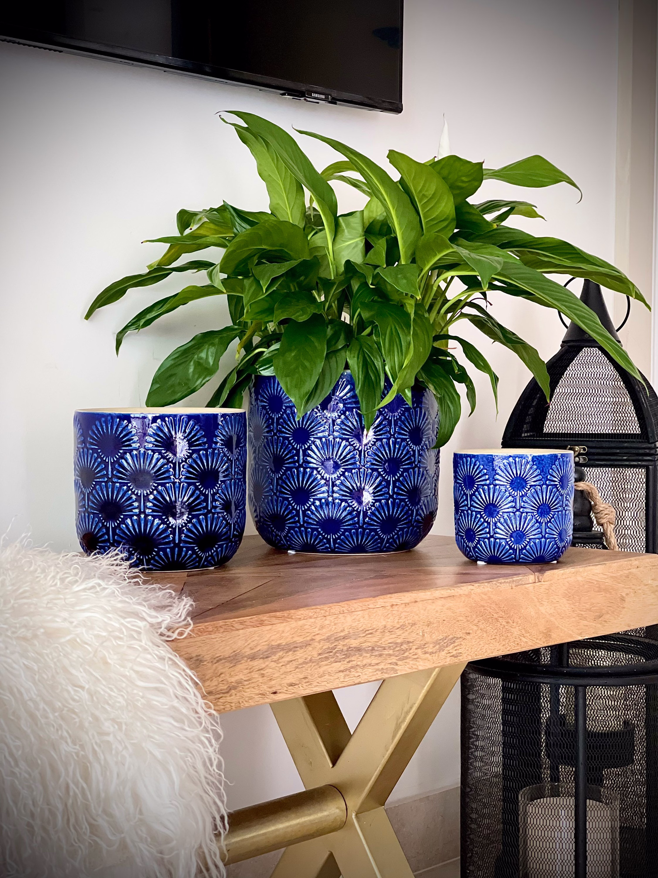 Blue Ceramic Plant Pots, & White Indoor Retro Matching Patterned Planters, Decorative Pots