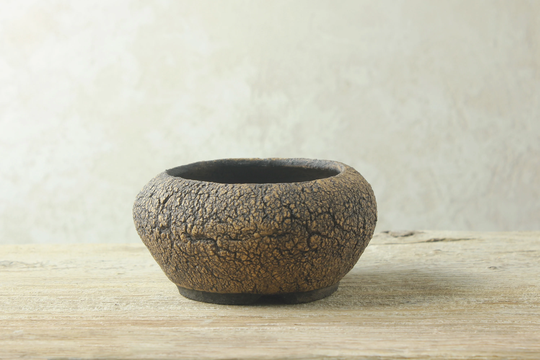Textured Ceramic Pot For Caudex, Succulents, Cacti, Orchids