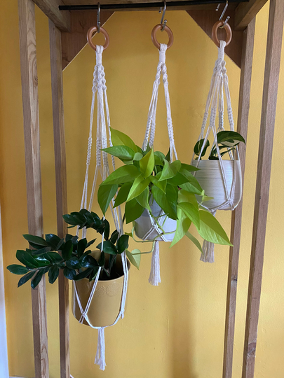 Set Of 3 Macrame Plant Hangers, Eco Friendly Gift For Lover, Houseplant Starter Kit, Hanger, Boho Home Decor, Decor