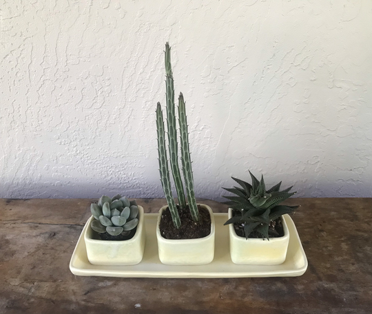 Triple Succulent/Herb Planter With Catch Tray - Butter Glaze