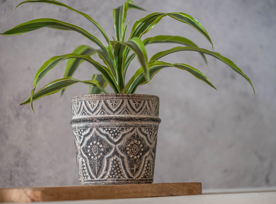 Geometric Design Terracotta Planter, Indoor Scandi Pot