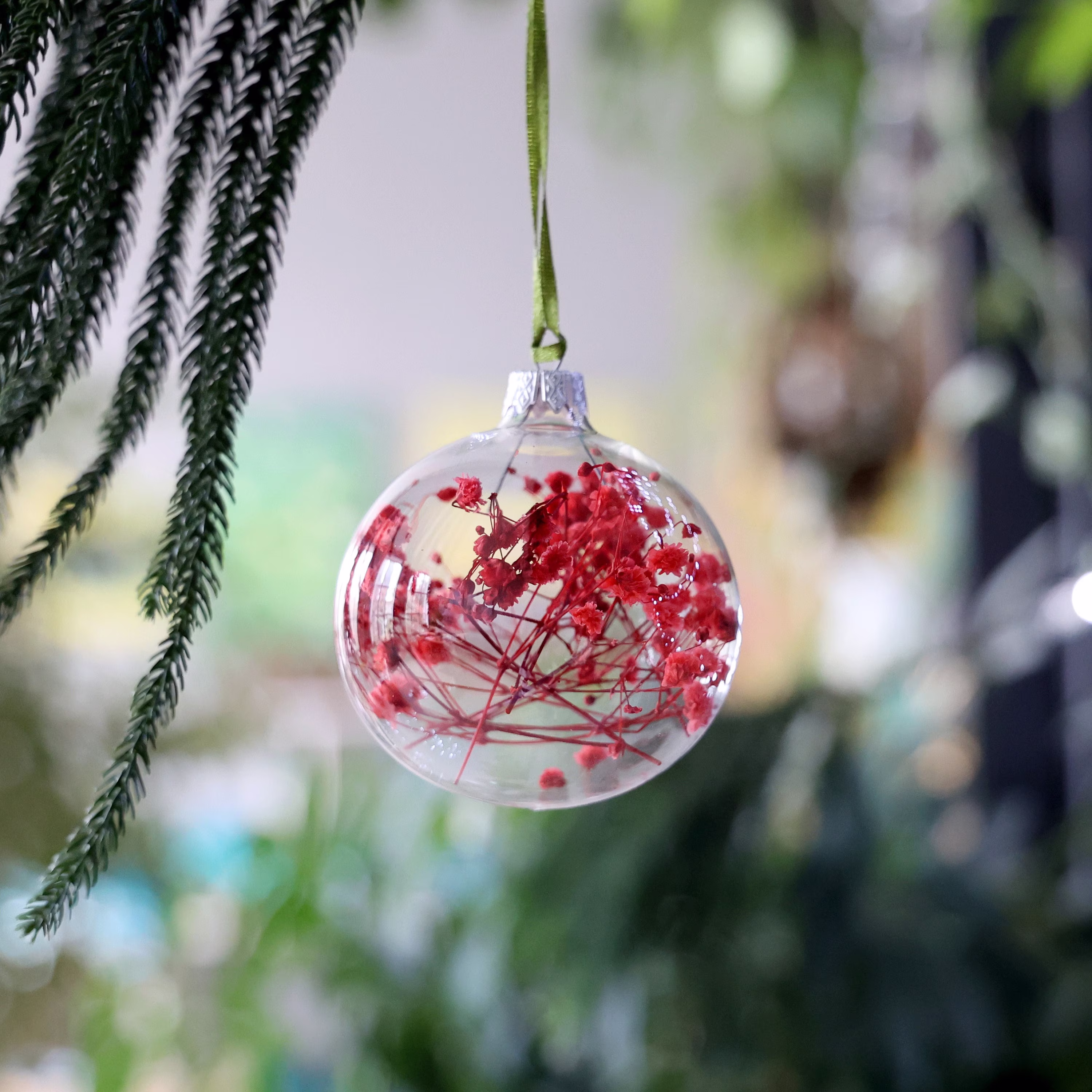 Floral Christmas Season Home Ornaments, Glass Bauble With Dried Red Gypsophila Flowers, Botanical Wall Window Decor