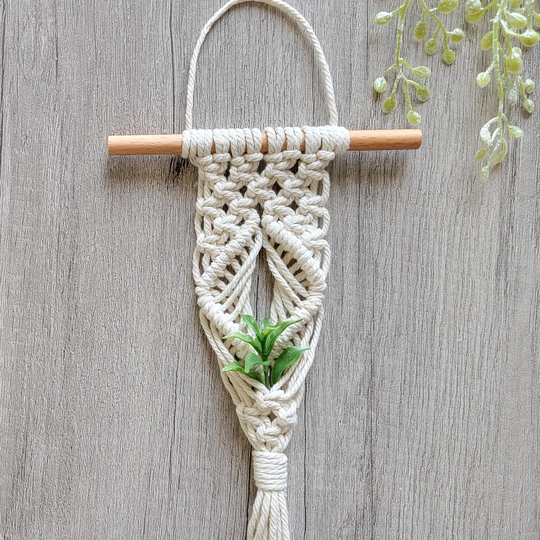 Macrame Air Plant Hanger | "Cascade