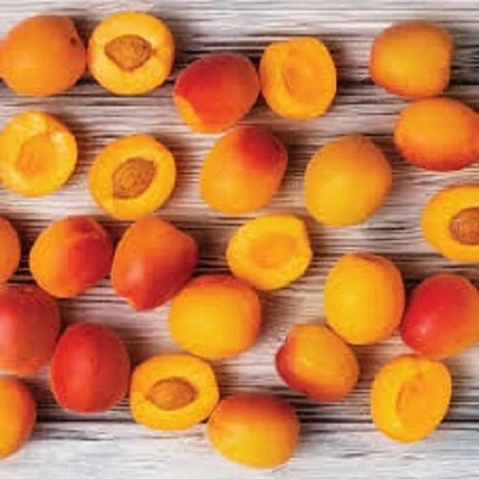 25 X Apricot Tree Seeds | Prunus Armenaica Fruit