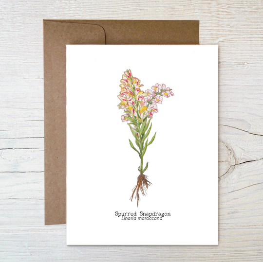 Seed Greeting Card ~ Plantable Wildflower Painted Image Of Spurred Snapdragons Eco Friendly Blank Inside